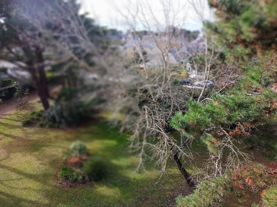 Apartament Stella Maris Carnac Zewnętrze zdjęcie