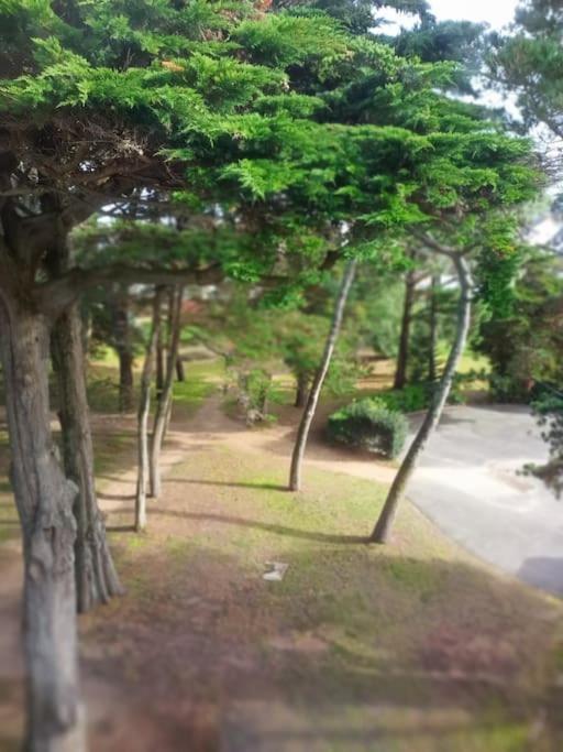 Apartament Stella Maris Carnac Zewnętrze zdjęcie